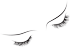 O'LASHI FLAIR